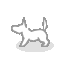 ��t�������s�h�b�O�����^��t�������sDog run Togane
